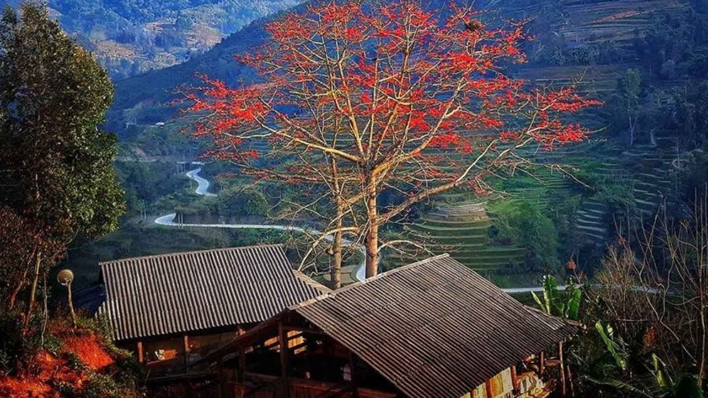 Capture Ha Giang weather November’s vibrant landscapes