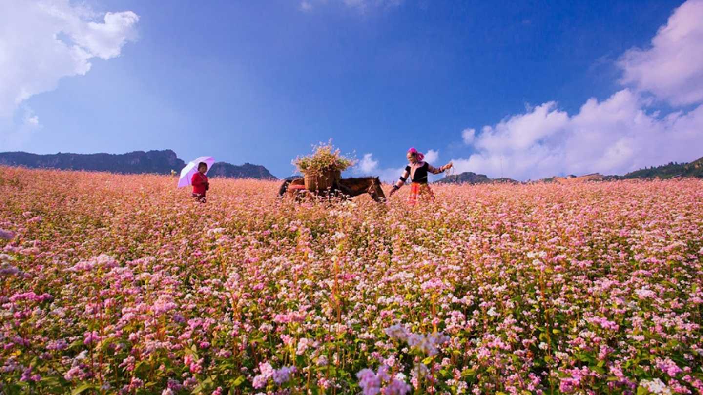 Check-in at Ha Giang's beautiful Zero Milestone