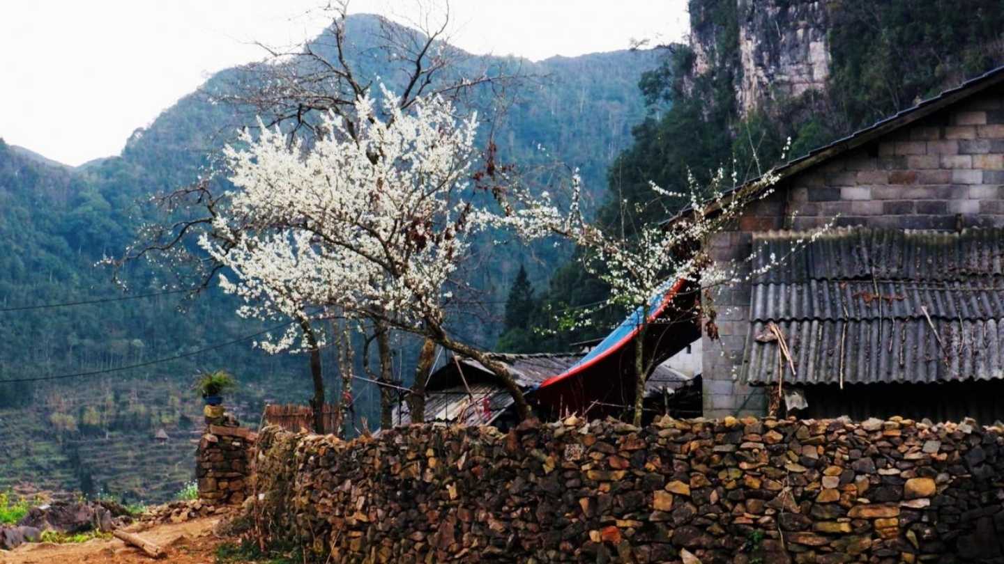 Thien Huong Village is full of scenic beauty