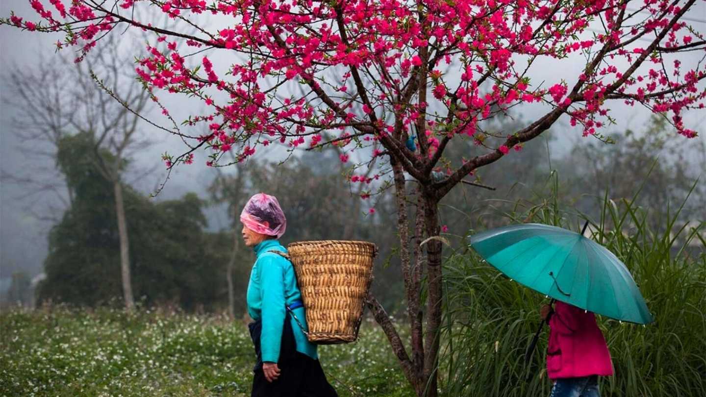 Ha Giang Weather February makes it great for sightseeing.