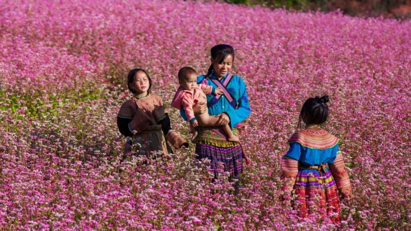 Experience the beauty of Ha Giang weather November outdoors