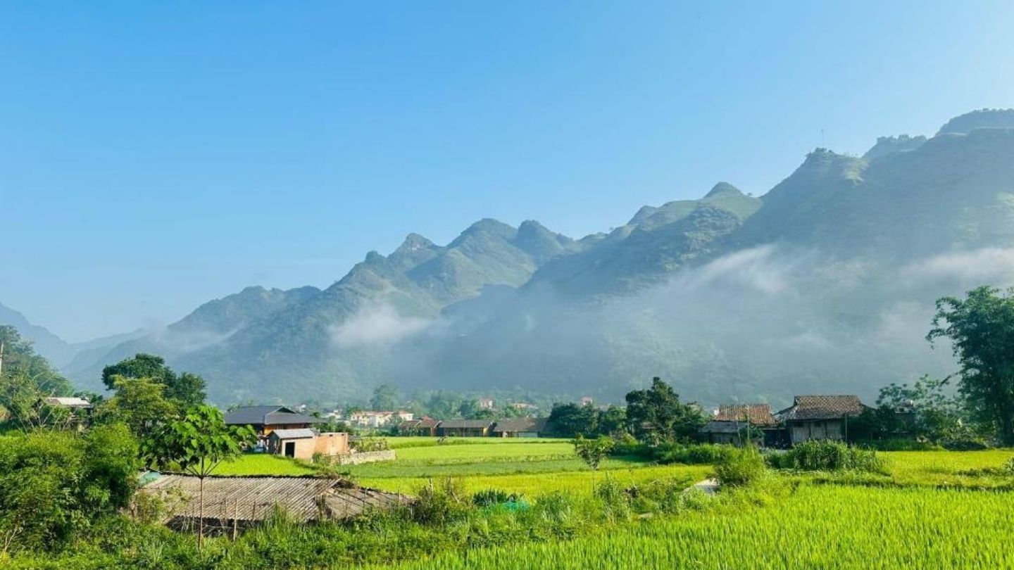 Ha Giang Rice Fields are perfect for nature lovers