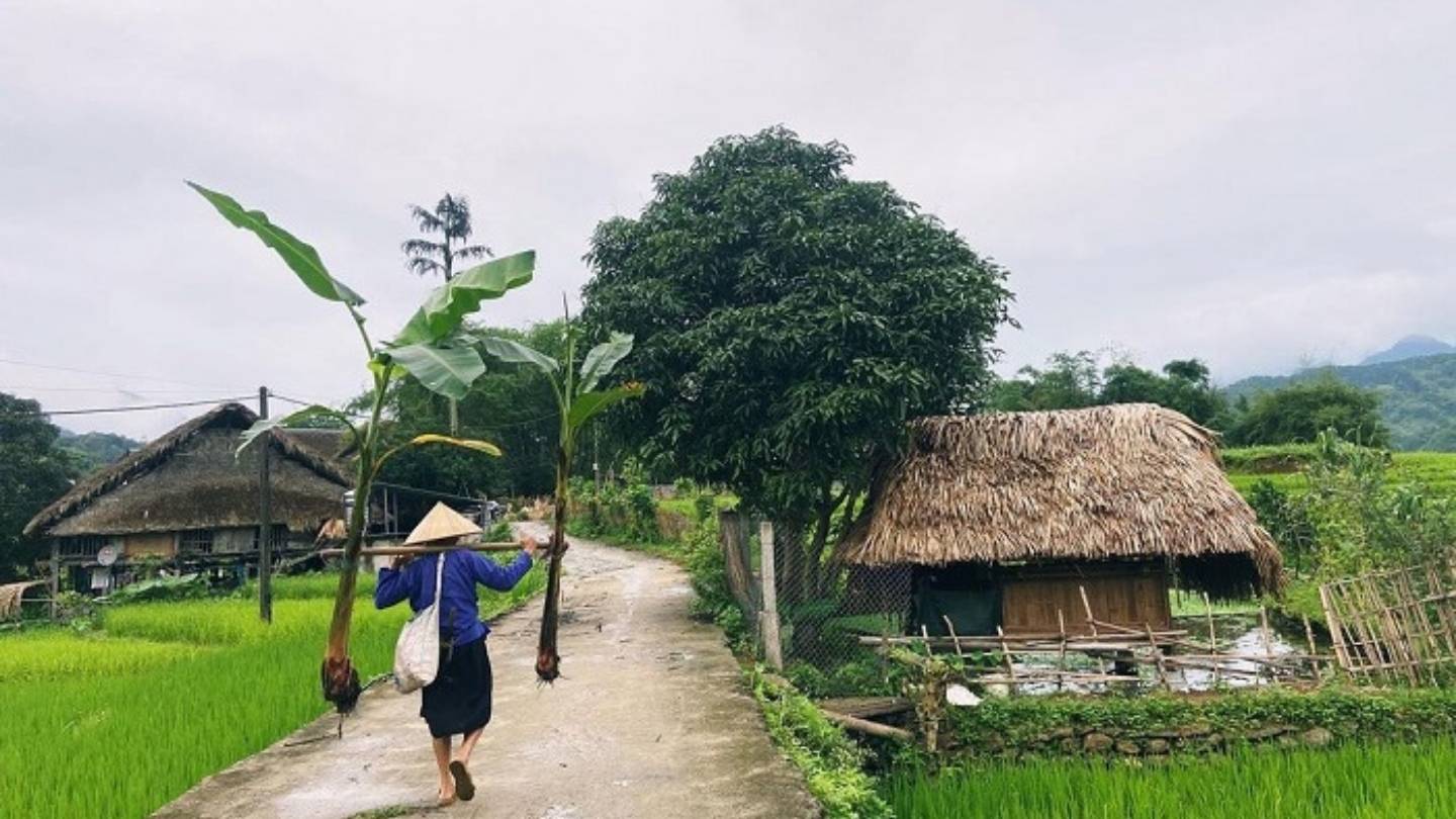 Stroll through the picturesque streets of Ha Thanh Village