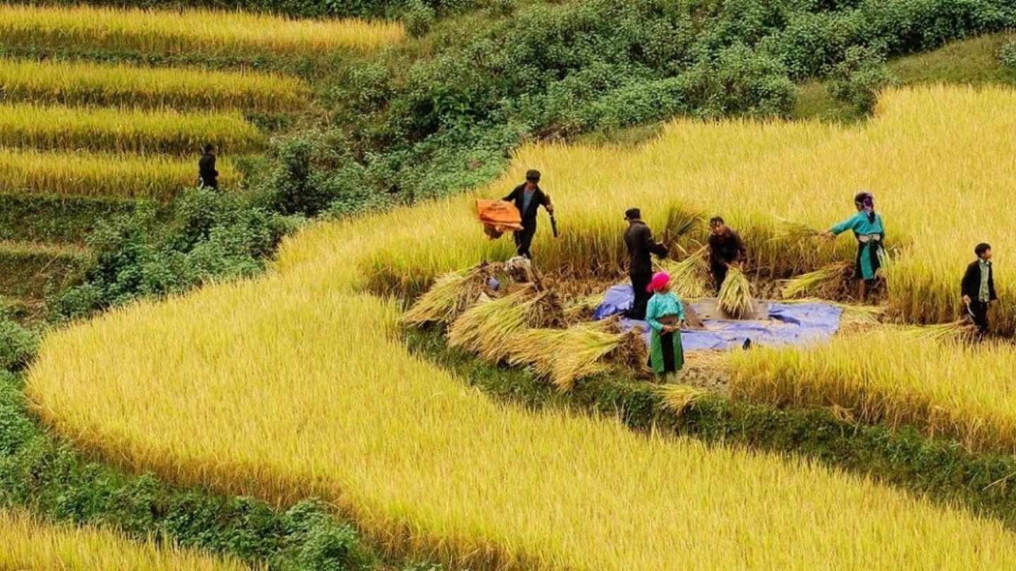 Explore Ha Giang weather August with comfortable cool days 