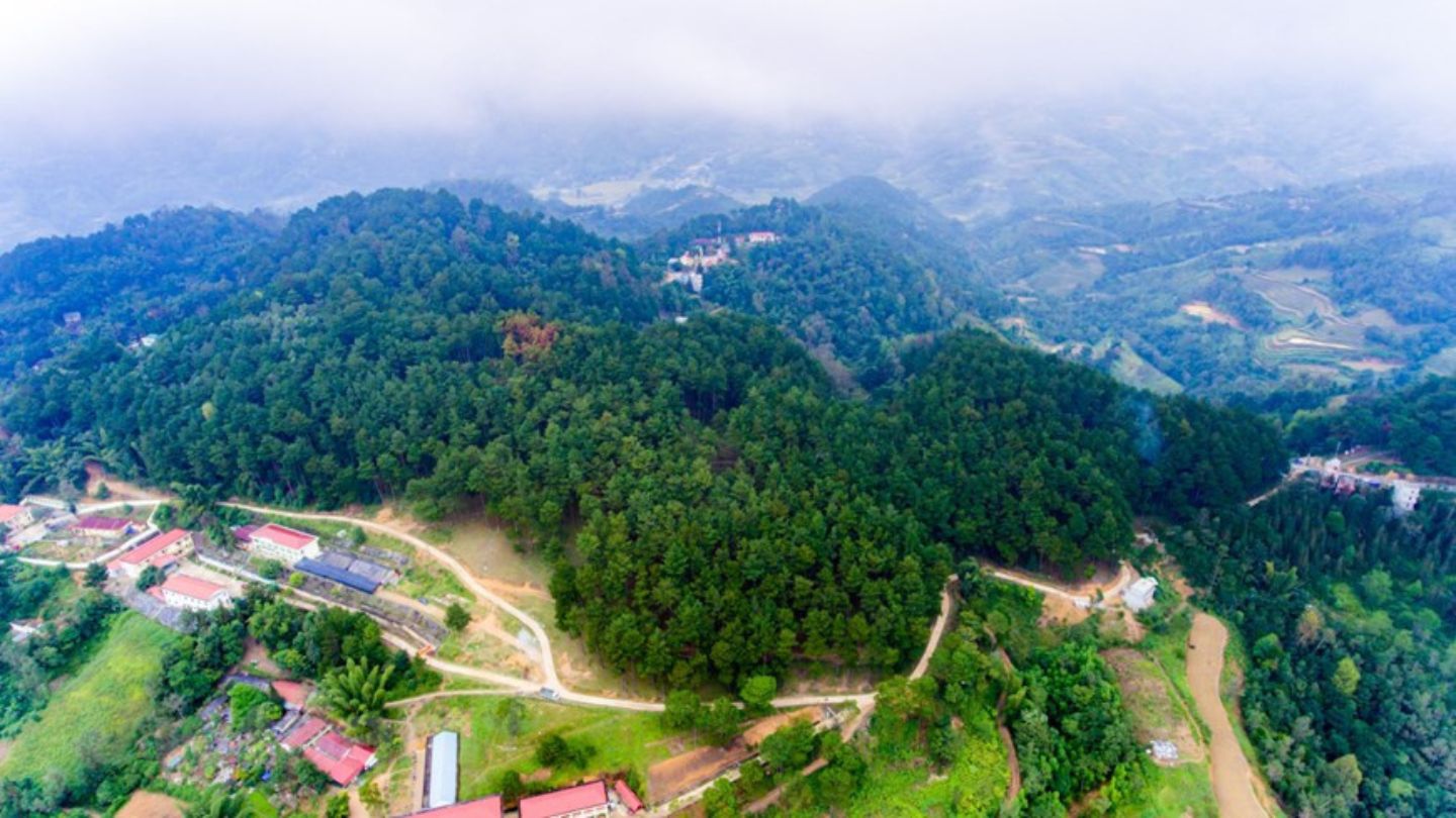 Exploring the lush beauty of Yen Minh Pine Forest