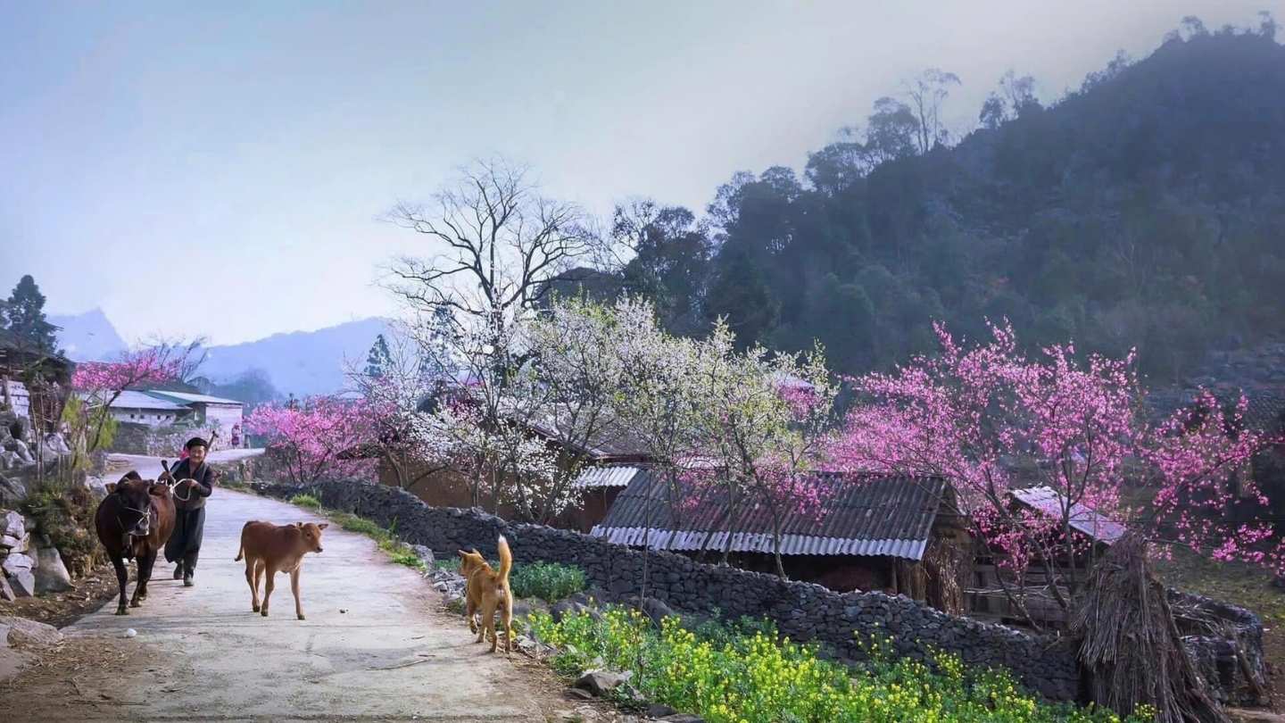 Ha Giang Weather March