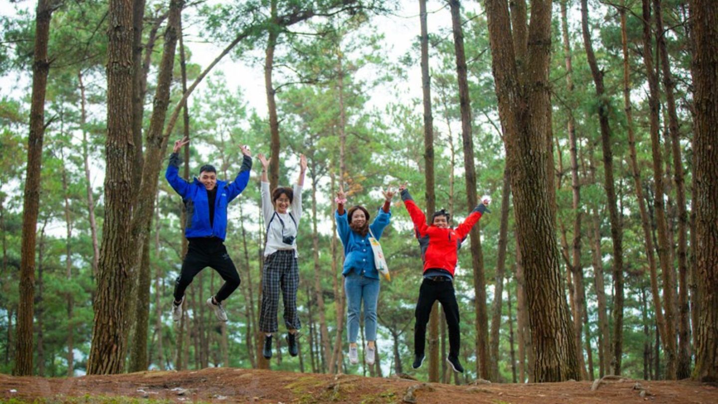 Fresh air and serenity in Yen Minh Pine Forest