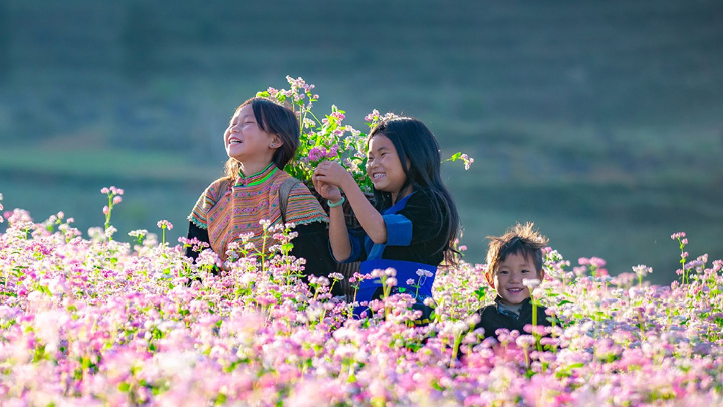 Bac Sum Pass showcases Vietnam’s natural beauty