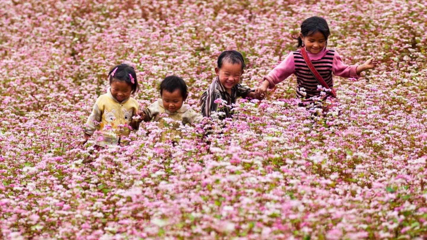 Suoi Thau Plateau showcases beautiful seasonal changes