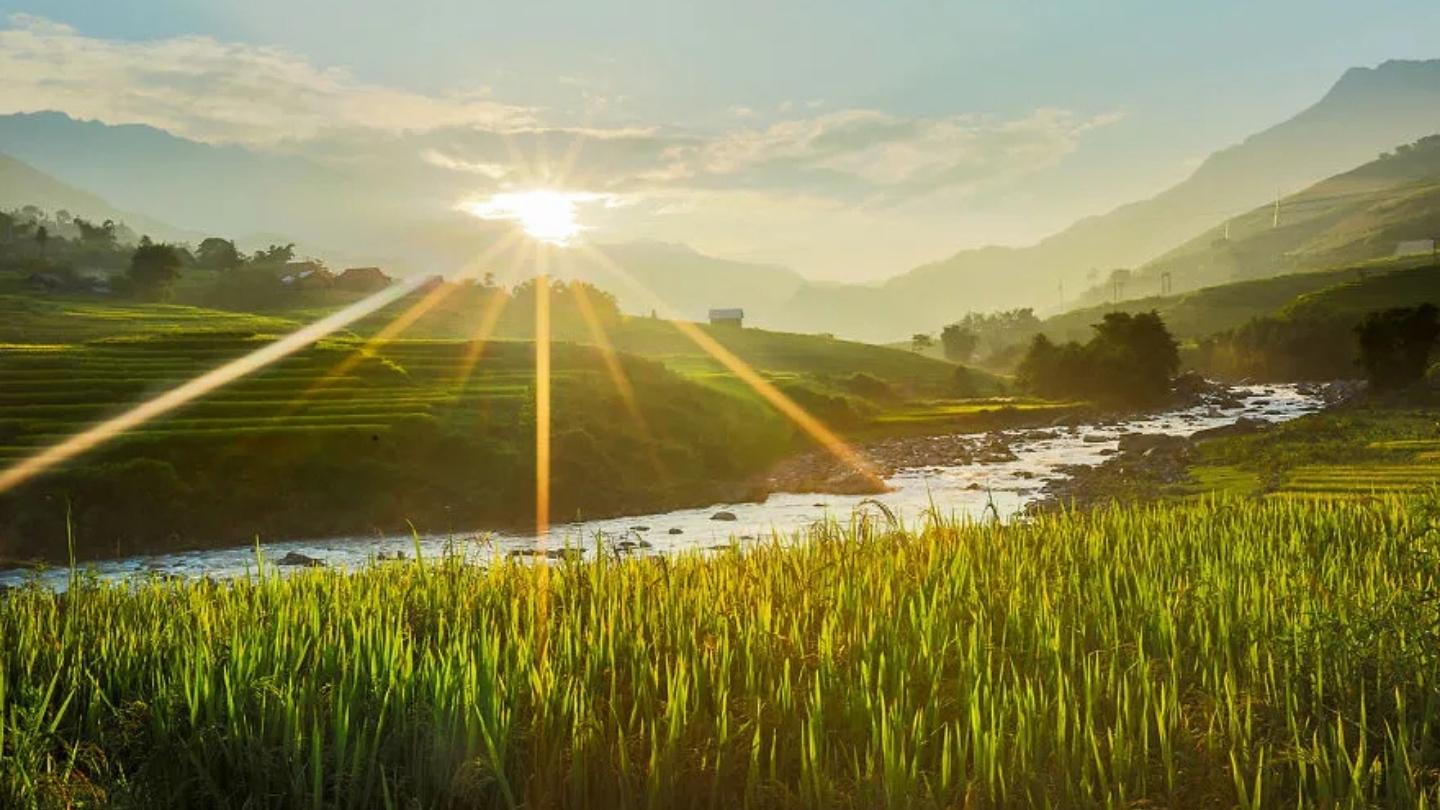 The beauty of Ha Giang Rice Fields is unparalleled