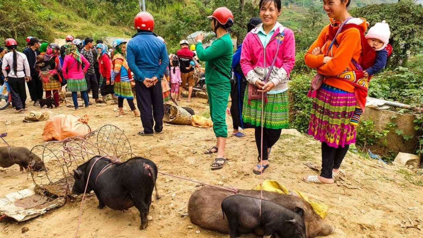 Coc Pai Market showcases local ethnic products beautifully