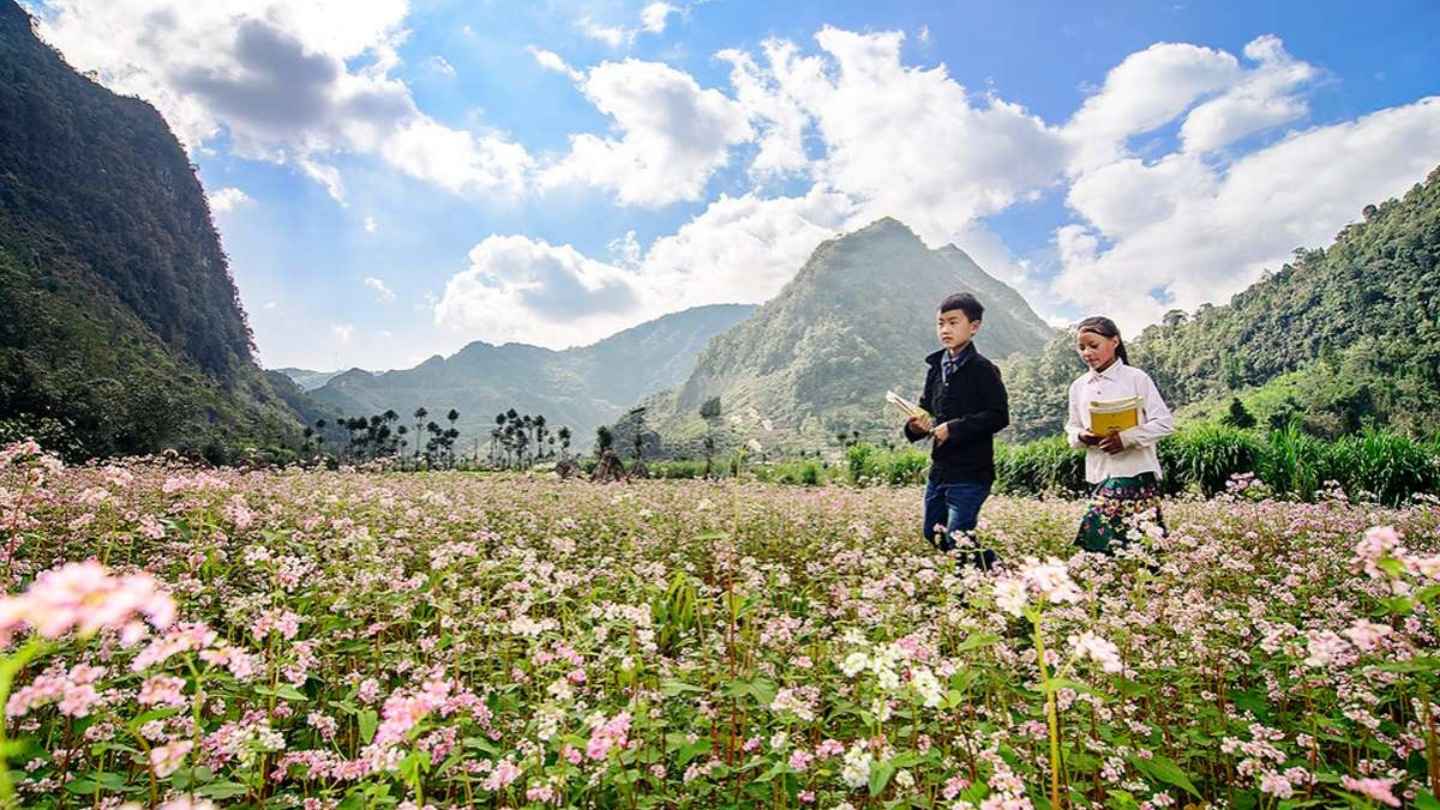 Chin Khoanh Pass surrounded by beautiful terraced fields