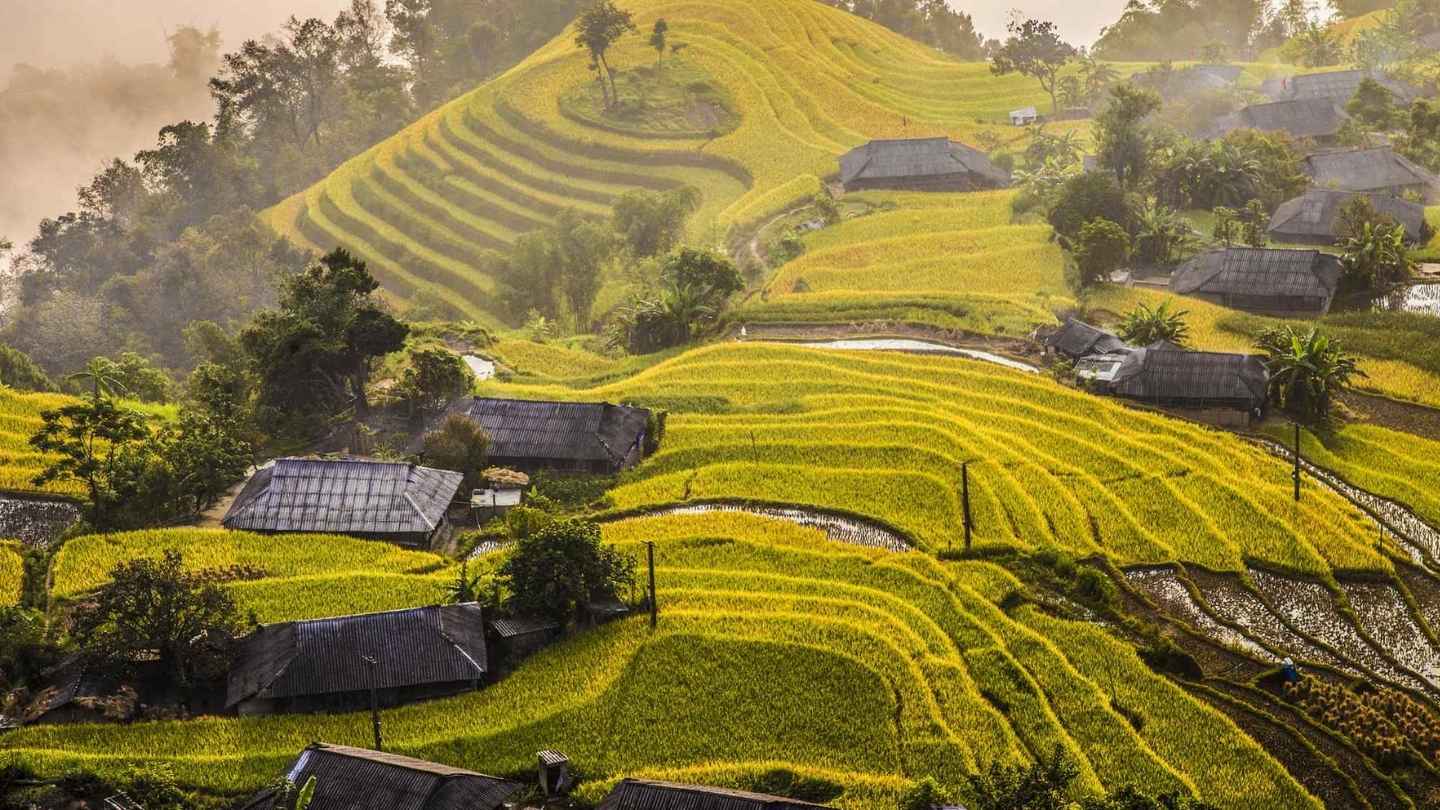 Experience the peaceful charm of Ha Giang Rice Fields