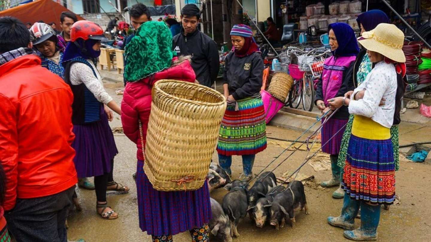 Ha Giang Weather January is perfect for outdoor activities