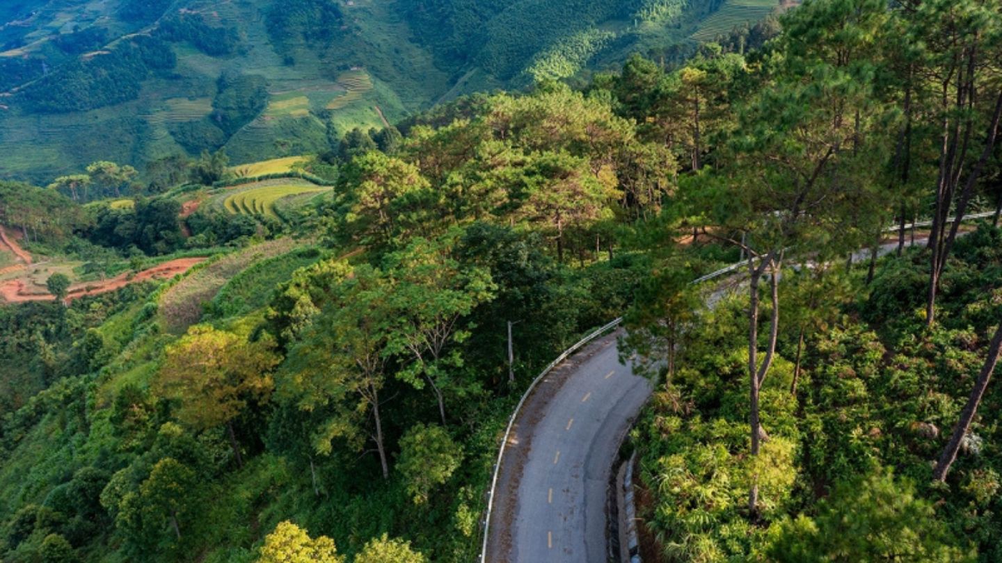 Adventure awaits in Yen Minh Pine Forest nature