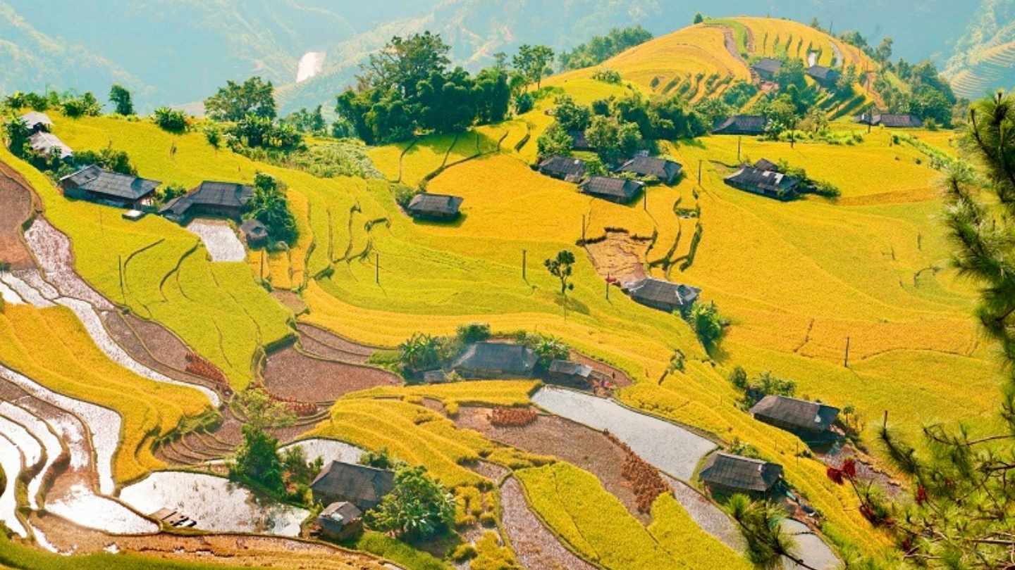 Rice Terraces at Thon Tha Village