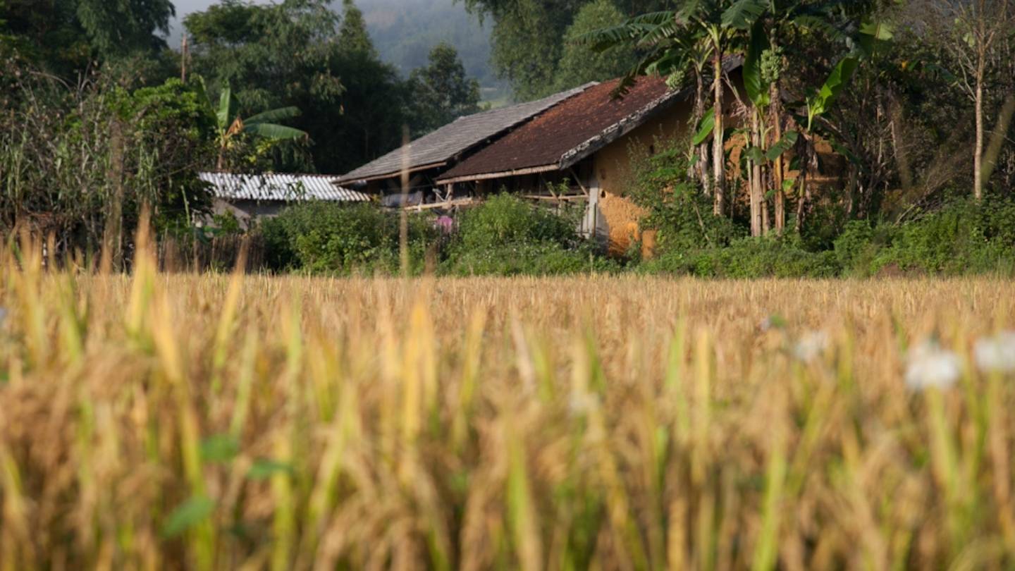 Traditional houses in Nam Dam Village, peaceful atmosphere