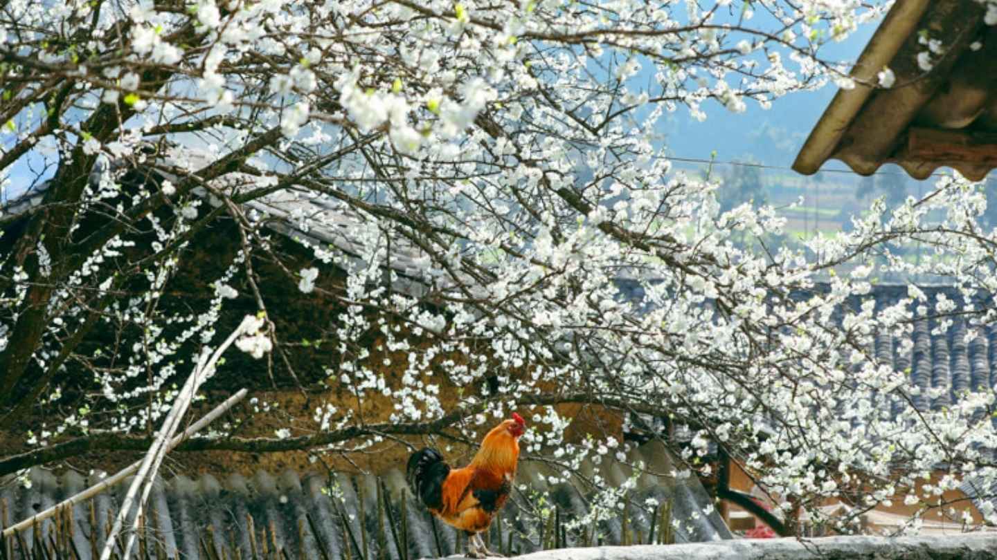 Ha Giang weather April is perfect for outdoor activities