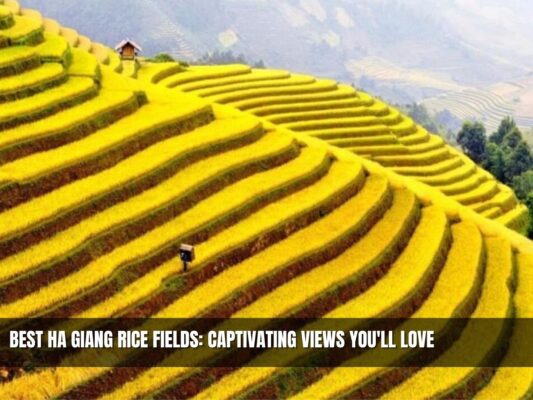 Best Ha Giang Rice Fields