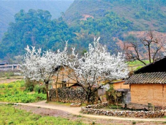 feature Ha Giang Weather | Ha Giang Nomad