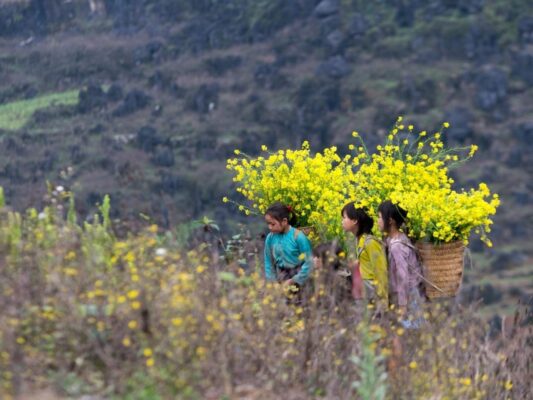 Ha Giang weather August offers calm, fresh air