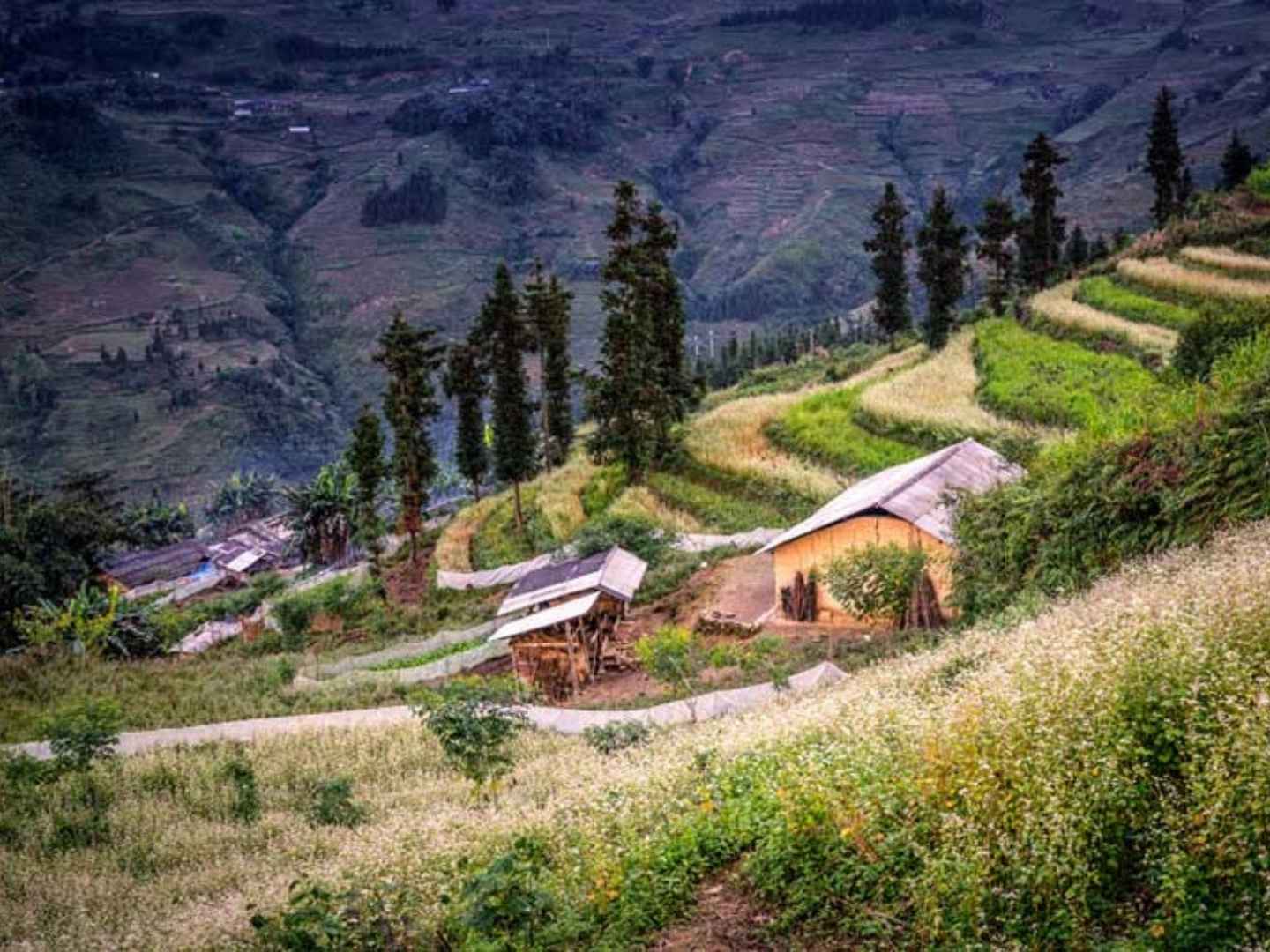 Ha Giang Weather March