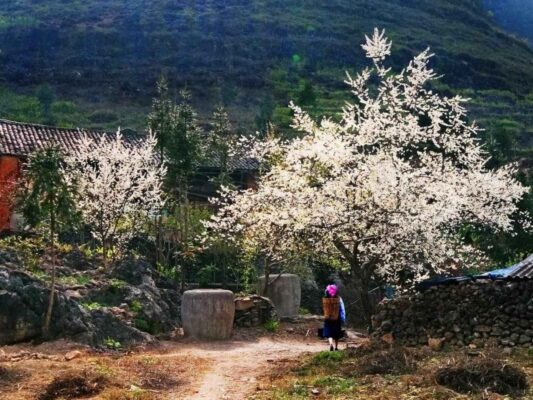 Ha Giang weather November creates a perfect atmosphere