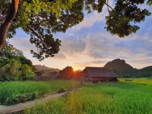 Discover local culture and traditions at Ha Thanh Village