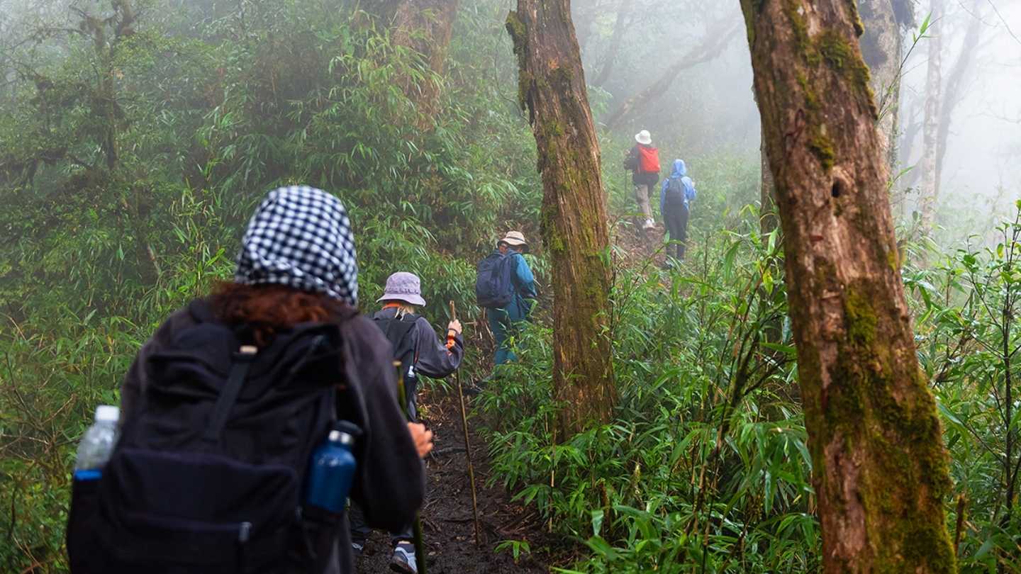 Experience the beautiful Ha Giang weather July offers