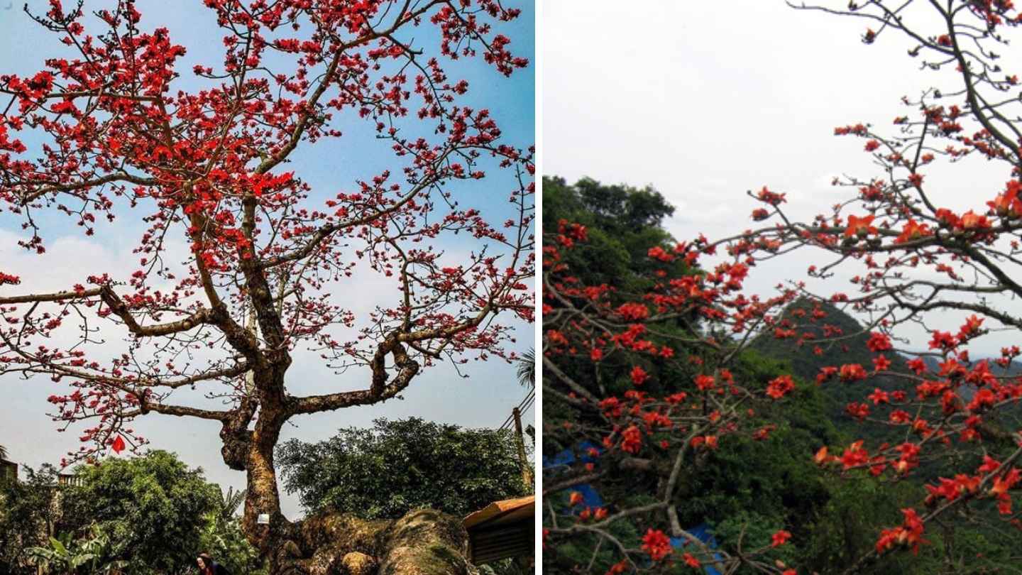 Ha Giang Loop April