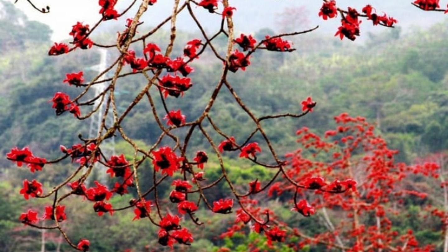 Ha Giang Loop March