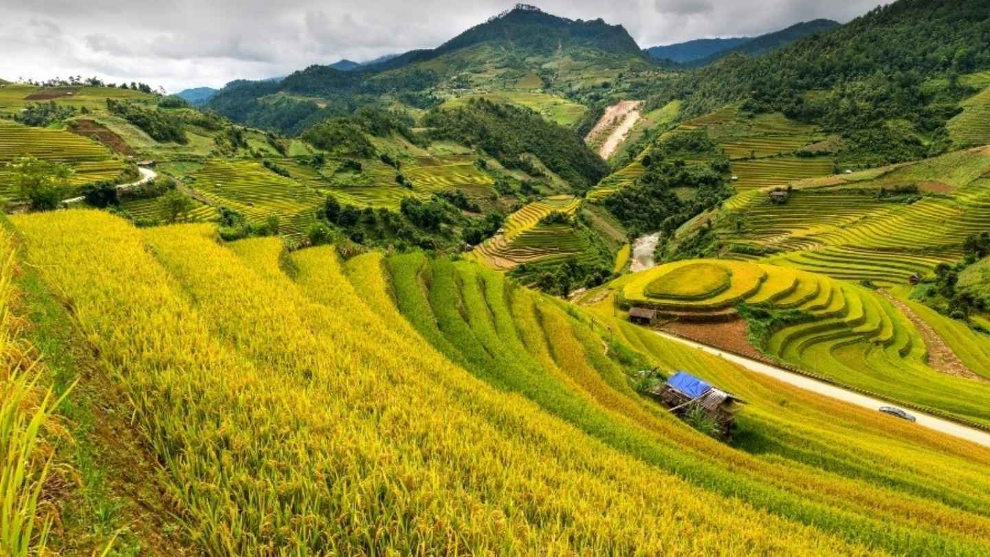 Ha Giang Loop October offers stunning landscapes