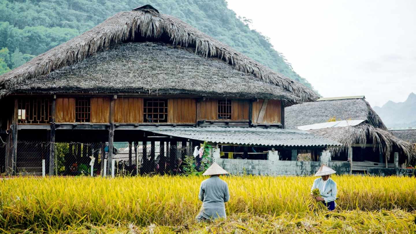 Enjoy the beauty of Ha Giang Loop October