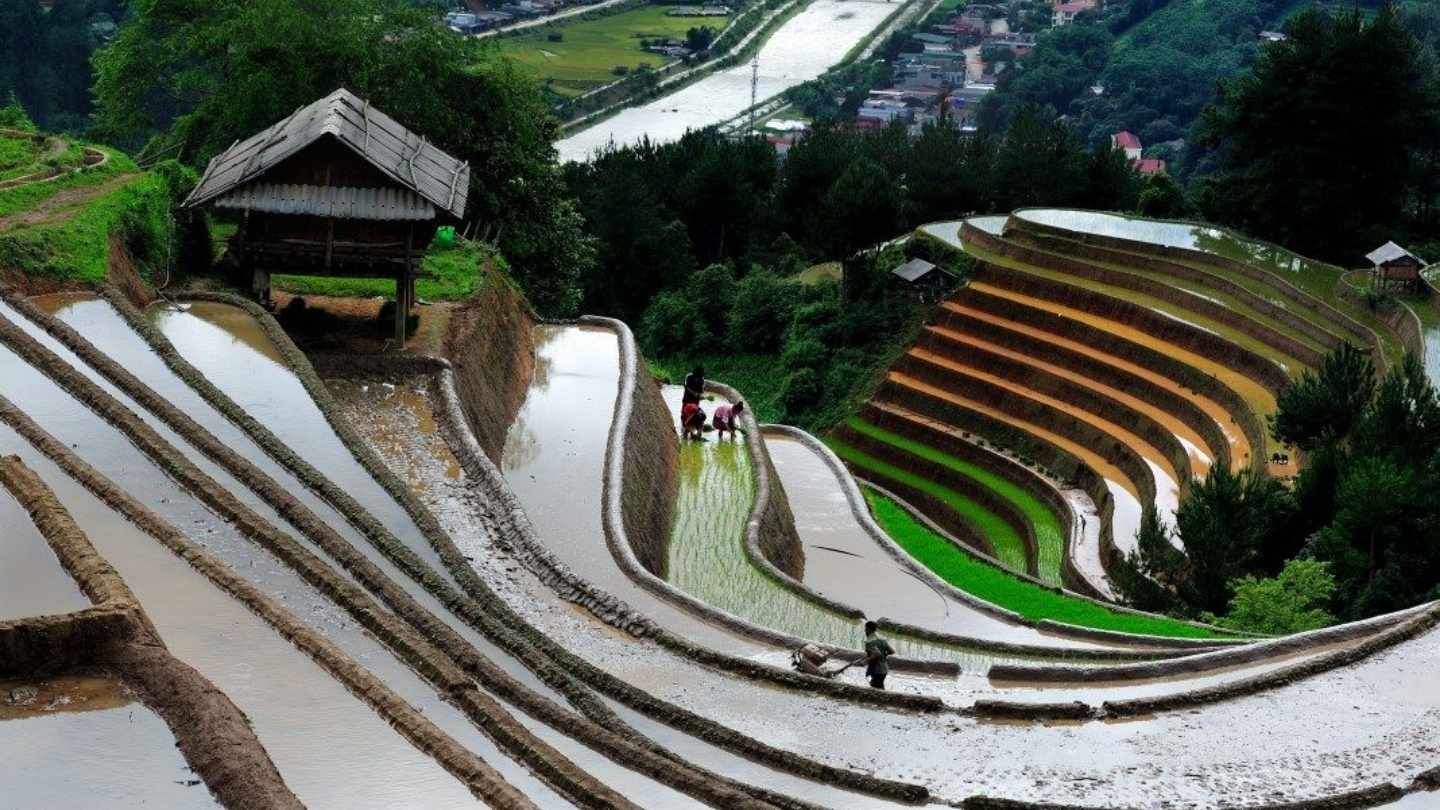 Ha Giang Loop April offers breathtaking views