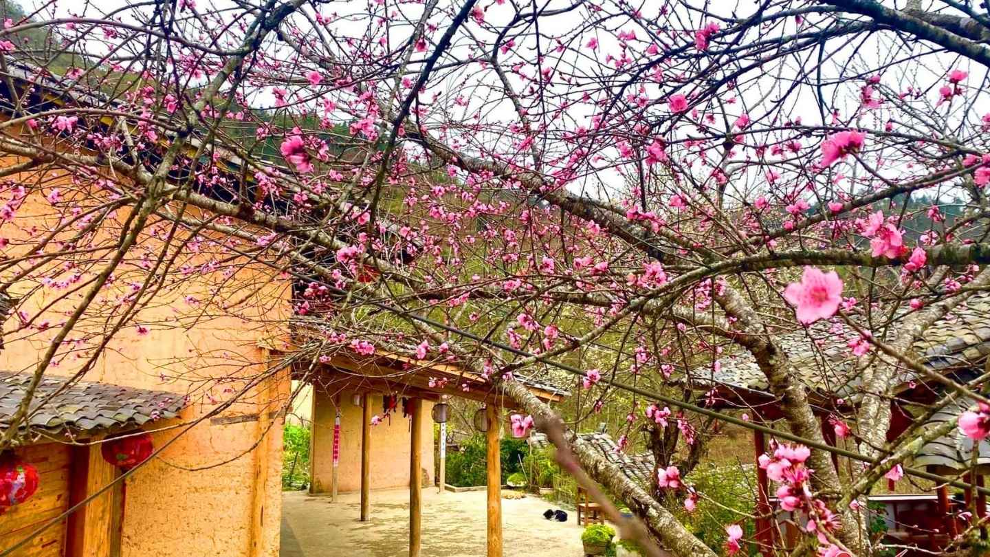 Ha Giang Loop March brings unforgettable views