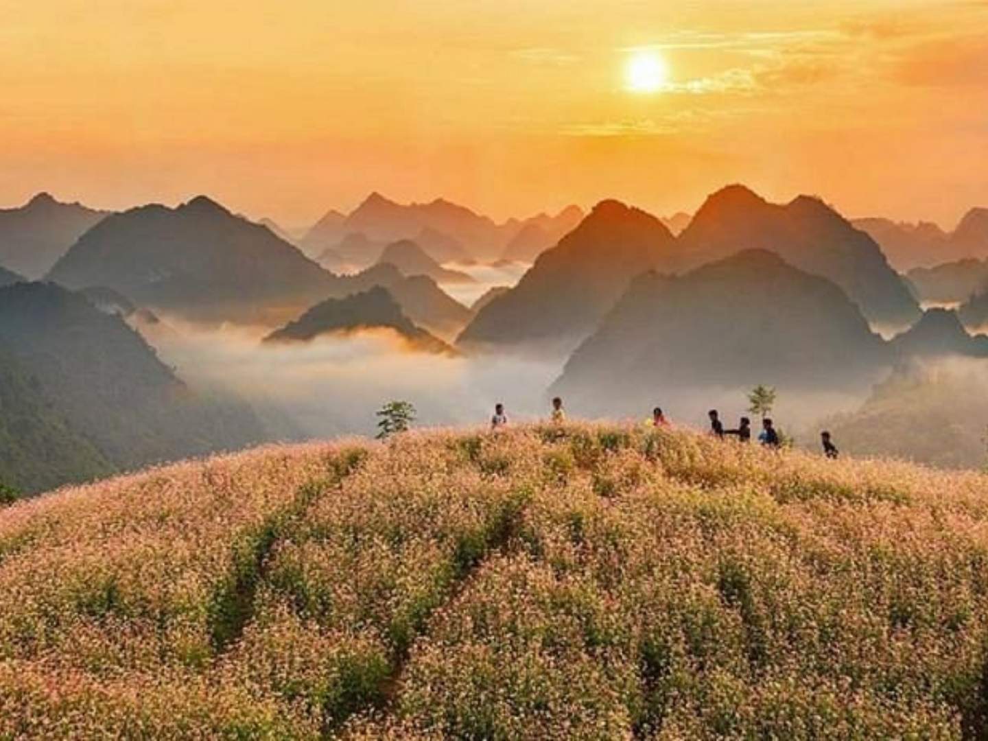 Explore Ha Giang Loop September for a memorable adventure