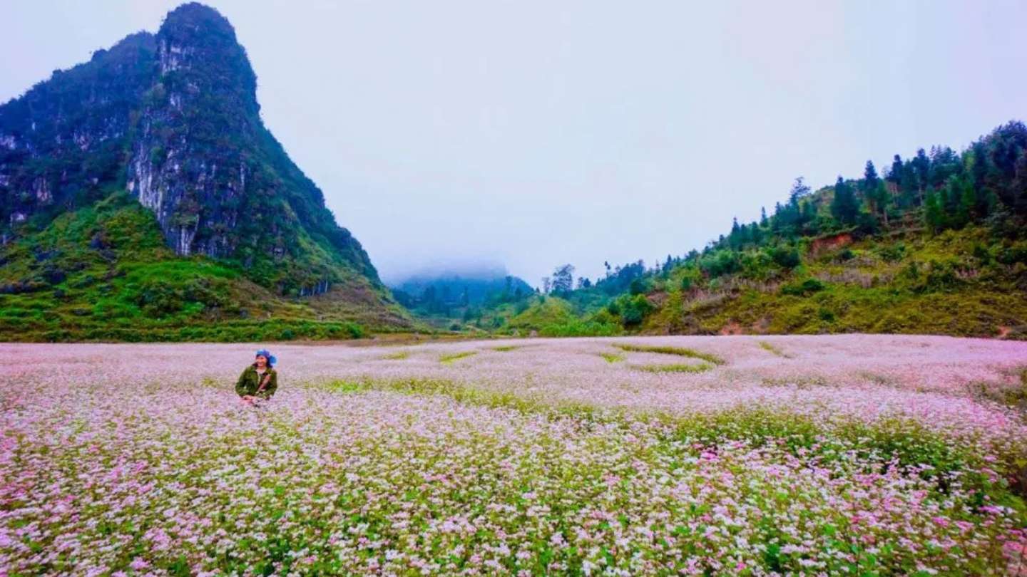 Discover the beauty of Ha Giang Loop weather November