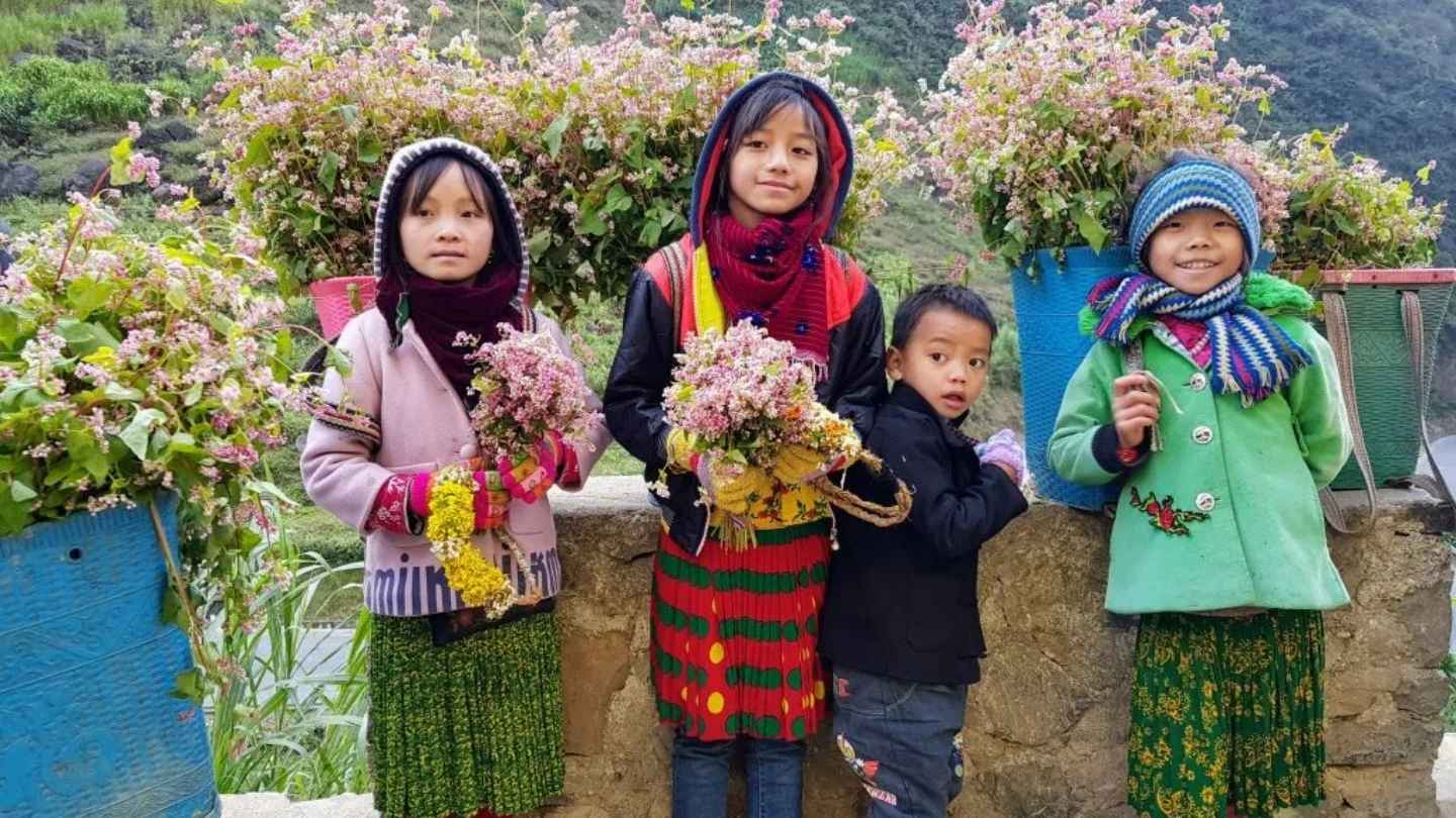 Experience Ha Giang Loop May with vibrant colors and beauty