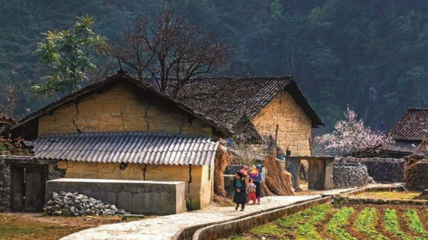 Ha Giang Loop in February for beautiful landscapes