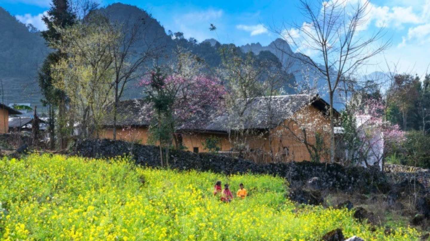 Ha Giang Loop weather November creates stunning mountain