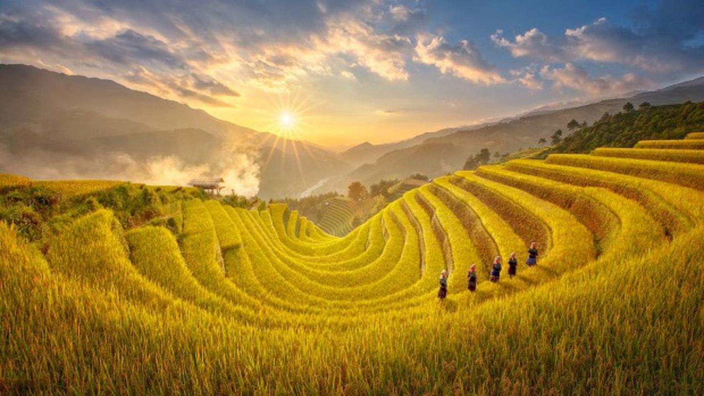 Ha Giang Loop August offers stunning mountain vistas