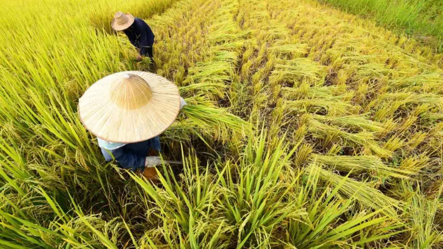 Experience the culture and beauty in Ha Giang Loop September