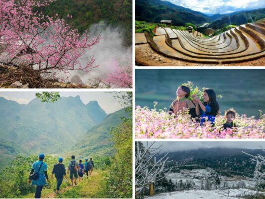 Ha Giang Loop Best Time of Year