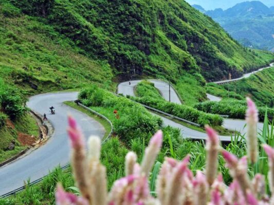 feature Ha Giang Loop July | Ha Giang Nomad