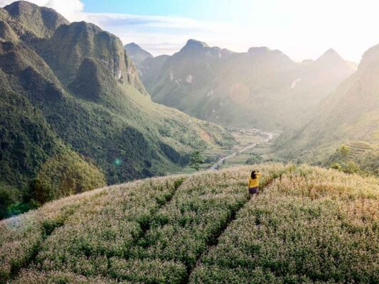 Ha Giang Loop in February features clear skies and beauty