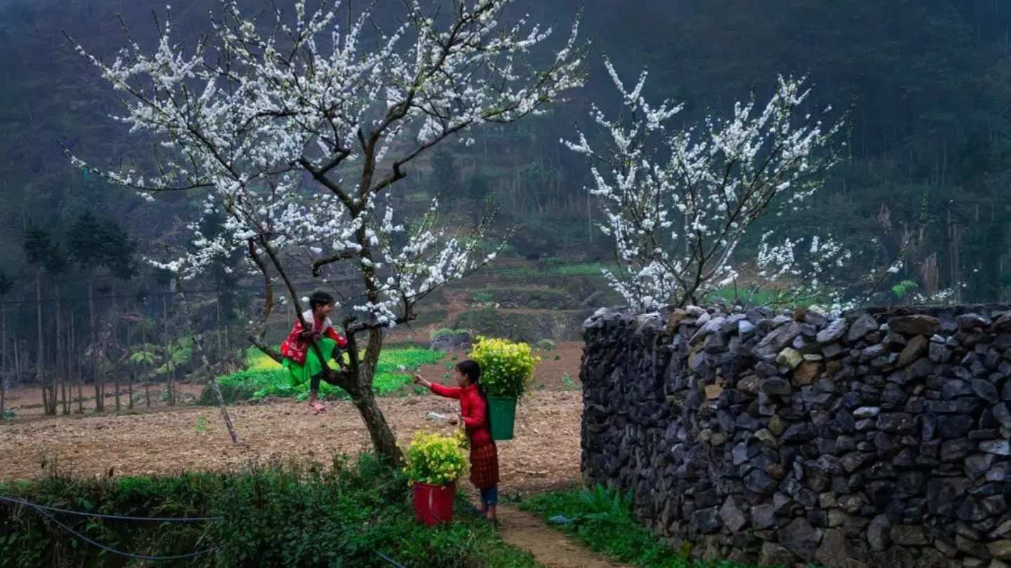 Ha Giang Loop in February with lush green views