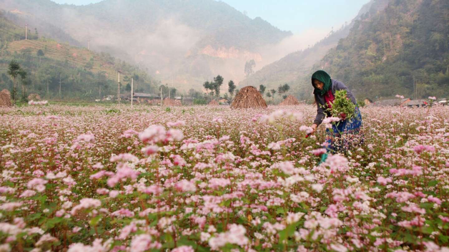 Ha Giang Loop Weather November