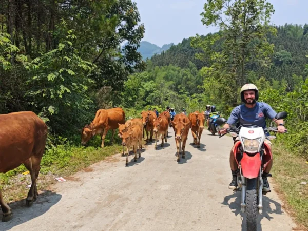 ha giang loop 4 day motorbike tour 16 | Ha Giang Nomad