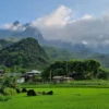 4D4N Ha Giang Loop Tour: Check-in Points, Scenic Rides, & Local Culture by Ha Giang Epic Tour