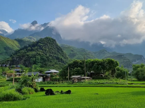 4D4N Ha Giang Loop Tour: Check-in Points, Scenic Rides, & Local Culture by Ha Giang Epic Tour
